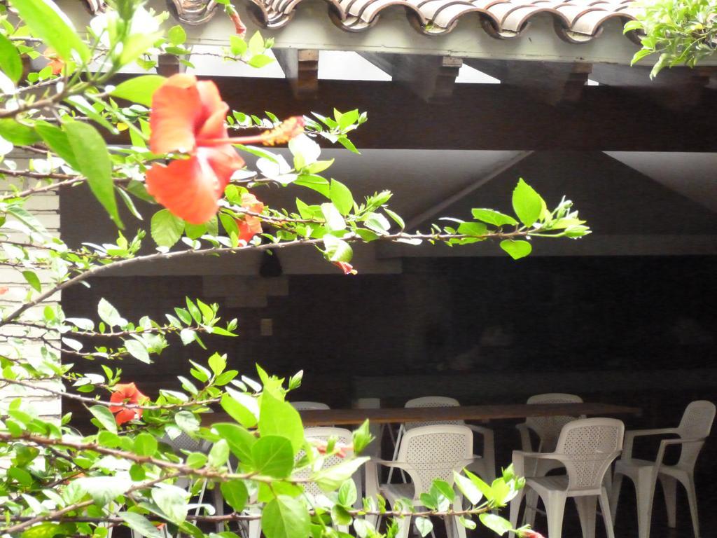 Hostel De Los Artistas Mendoza Exterior photo